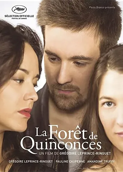 La forêt de quinconces