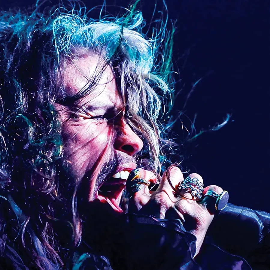 Steven Tyler: Out on a Limb online