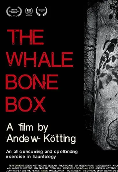 The Whalebone Box