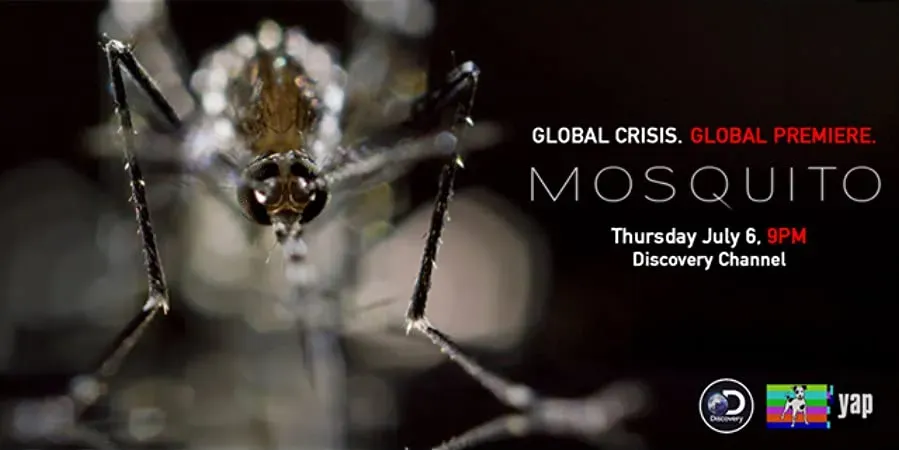 Mosquito online