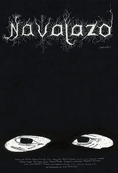 Navajazo