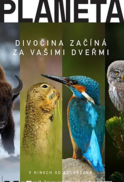 Planeta Cesko