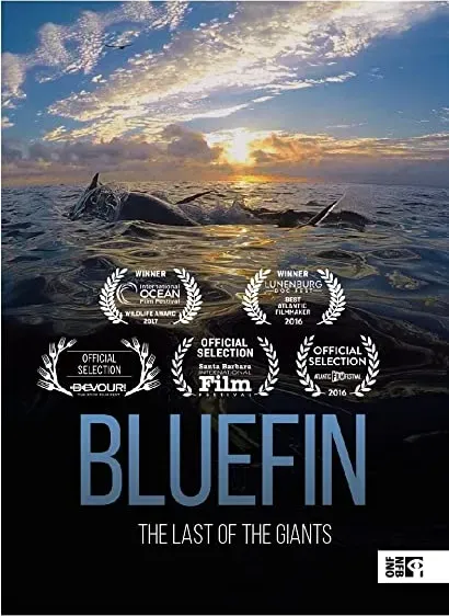 Bluefin