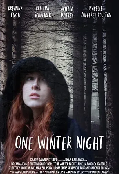 One Winter Night