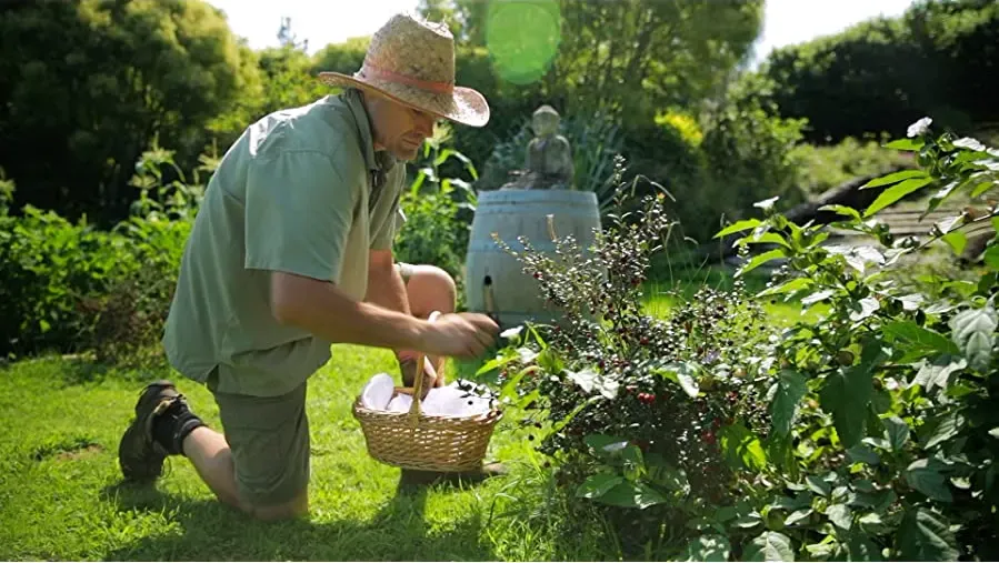 Living the Change: Inspiring Stories for a Sustainable Future online