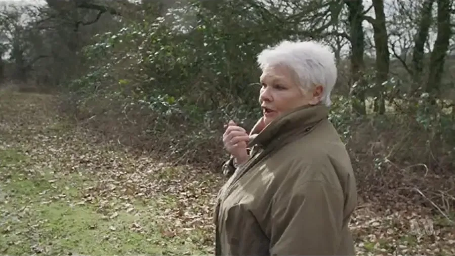 Judi Dench: My Passion for Trees online