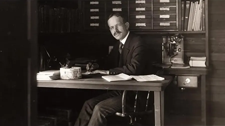 Ludzie gwiazd online