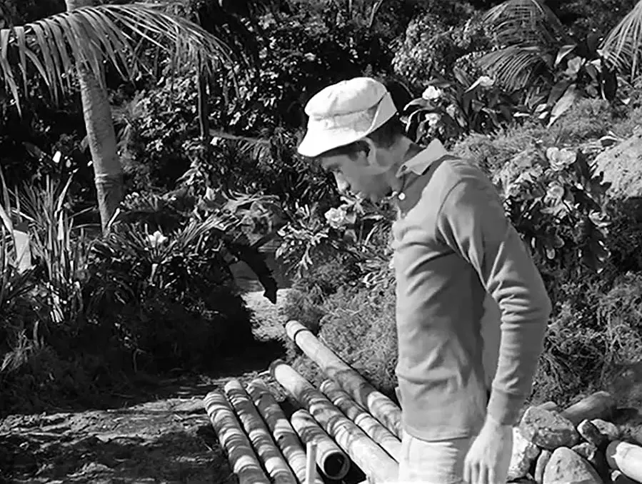 The Gilligan Manifesto online