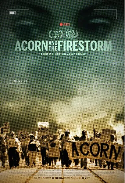 ACORN and the Firestorm