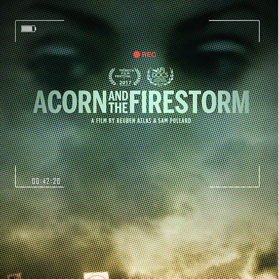 ACORN and the Firestorm online