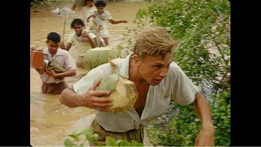 Darmowe filmy