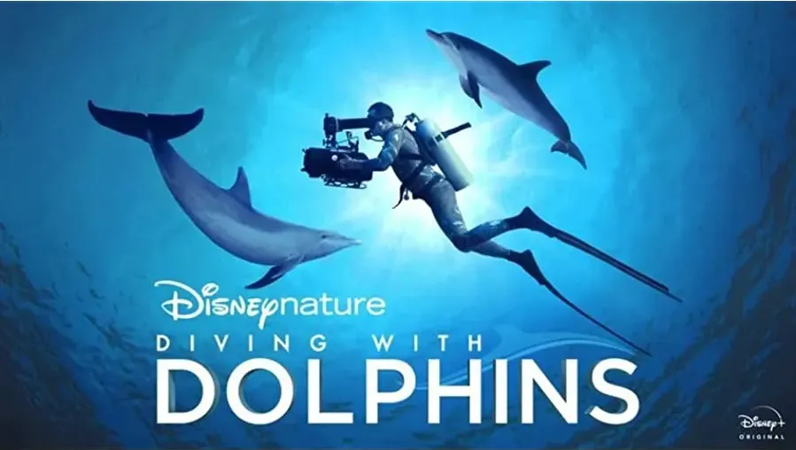 Diving with Dolphins online