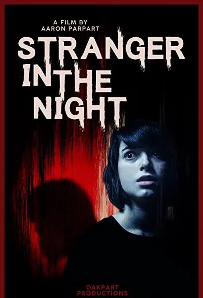 Stranger in the Night
