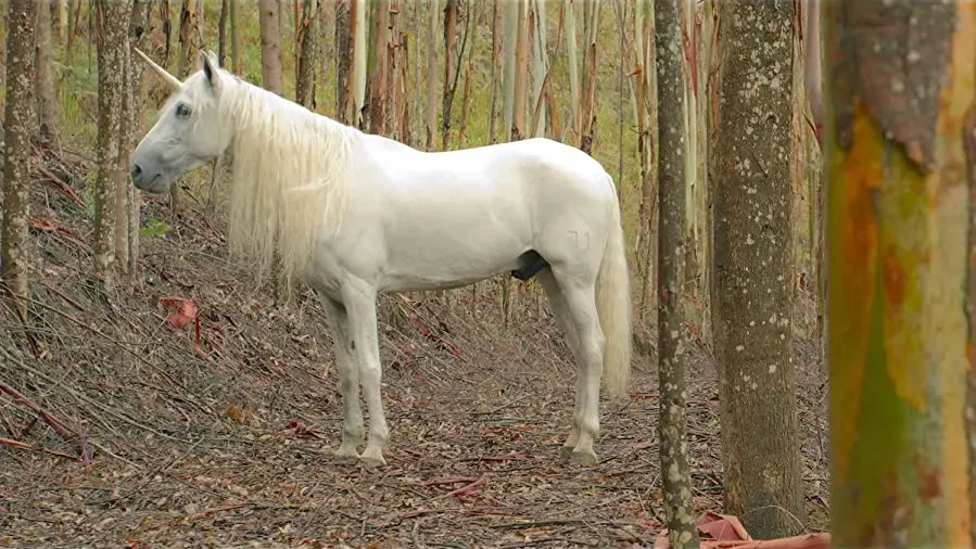 Unicórnio online