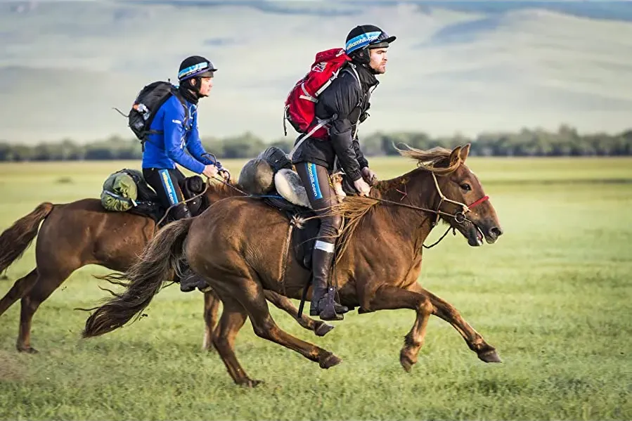 All the Wild Horses online
