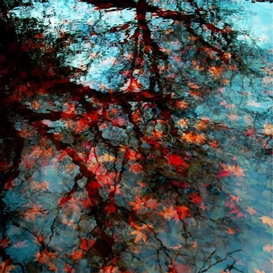 Red Trees online