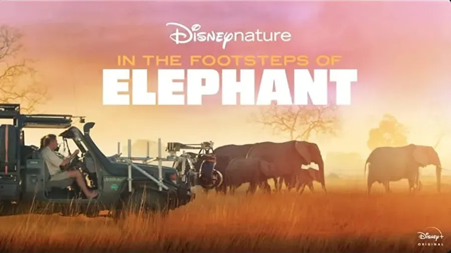 In the Footsteps of Elephant online