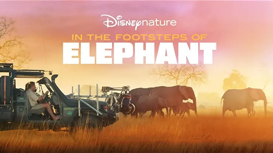 In the Footsteps of Elephant online