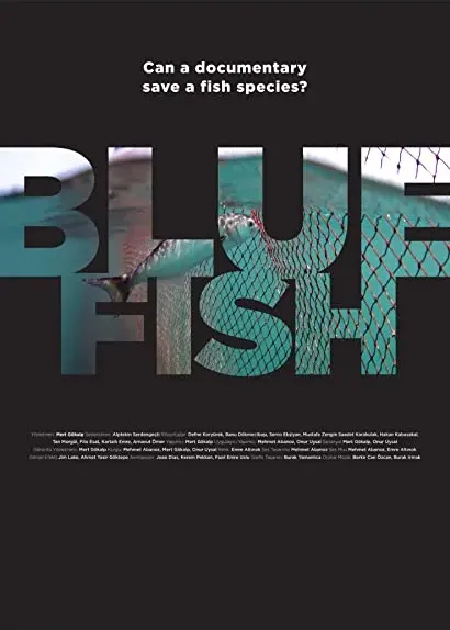 Bluefish
