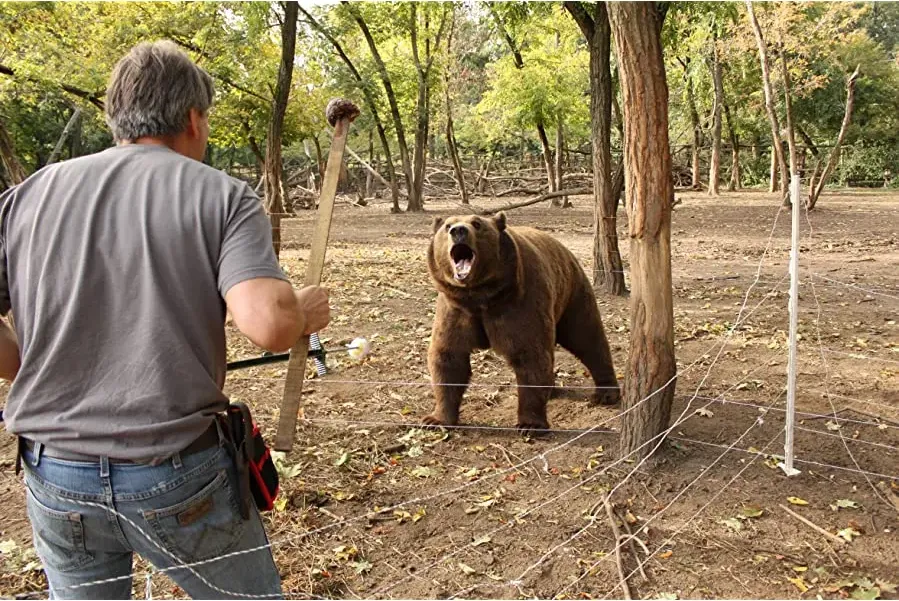 La pelle dell'orso online