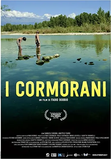 I cormorani