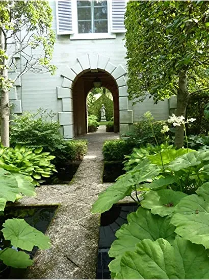 The Gardener