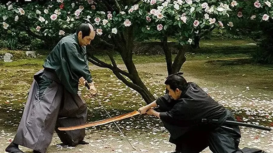 Chiri tsubaki online