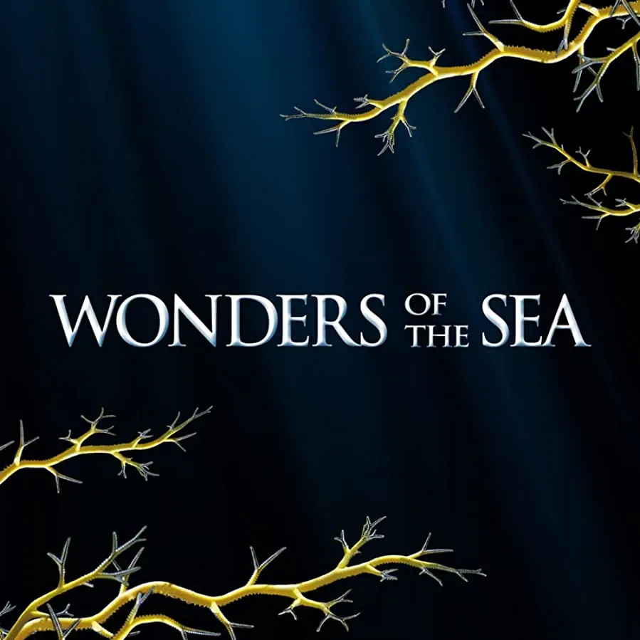 Wonders of the Sea 3D online