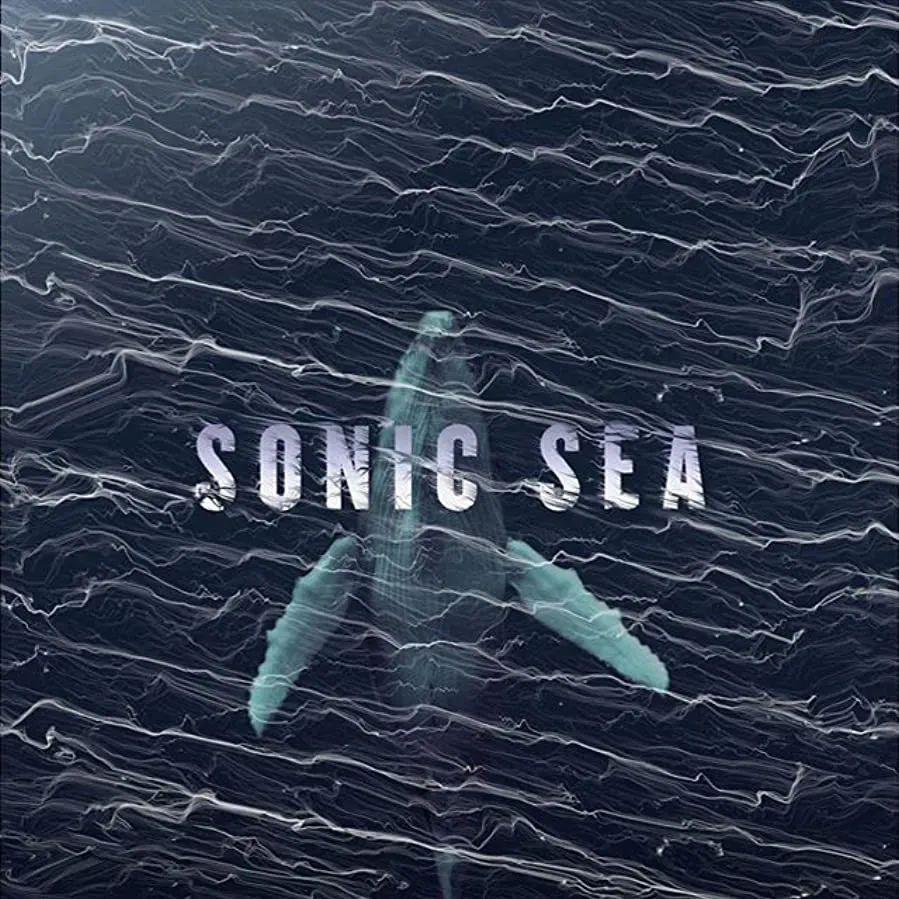 Sonic Sea online