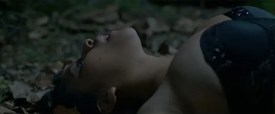 Murder in the Woods online