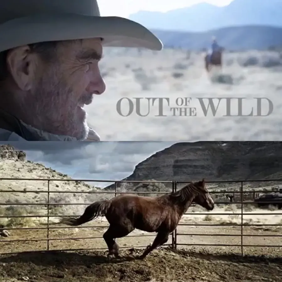 Out of the Wild online