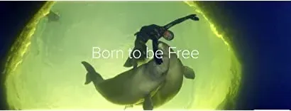 Born to Be Free