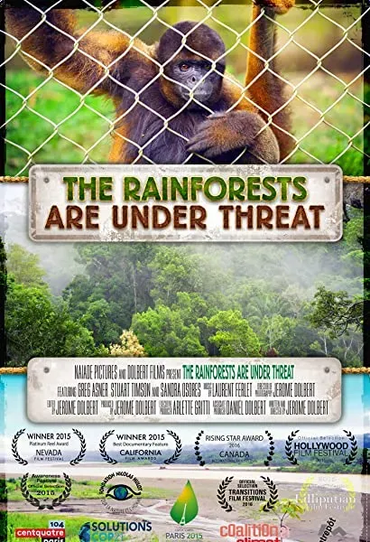 The Rainforests Are Under Threat