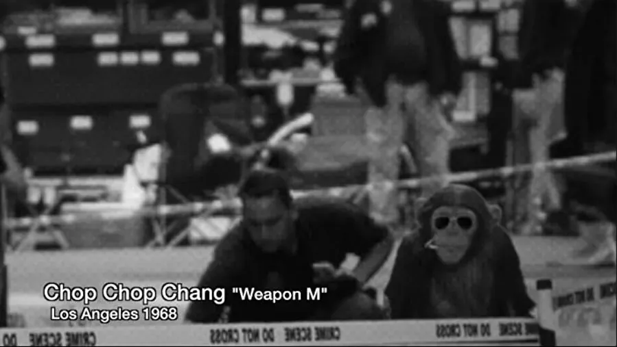 Chop Chop Chang: Operation C.H.I.M.P online