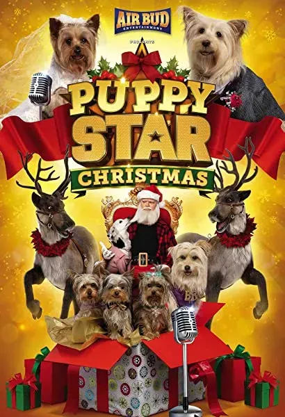 Puppy Star Christmas