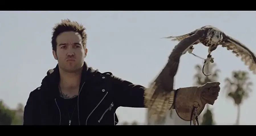 Fall Out Boy: The Young Blood Chronicles online