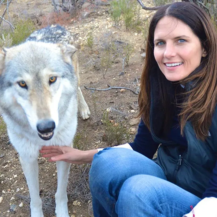 Medicine of the Wolf online