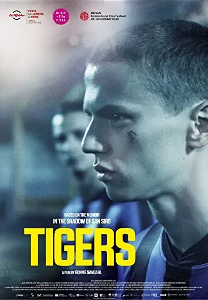 Tigers