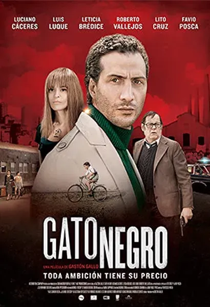Gato negro