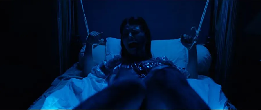 The House of Violent Desire online