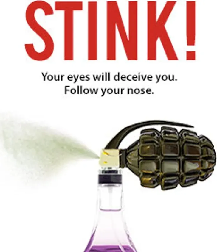 Stink! online