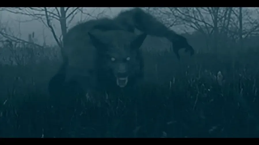 The Bray Road Beast online