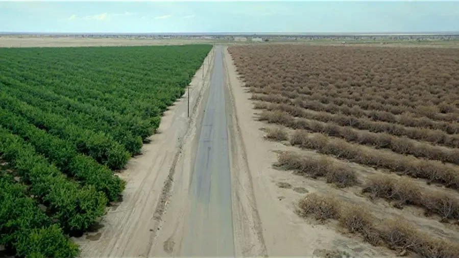 Water & Power: A California Heist online