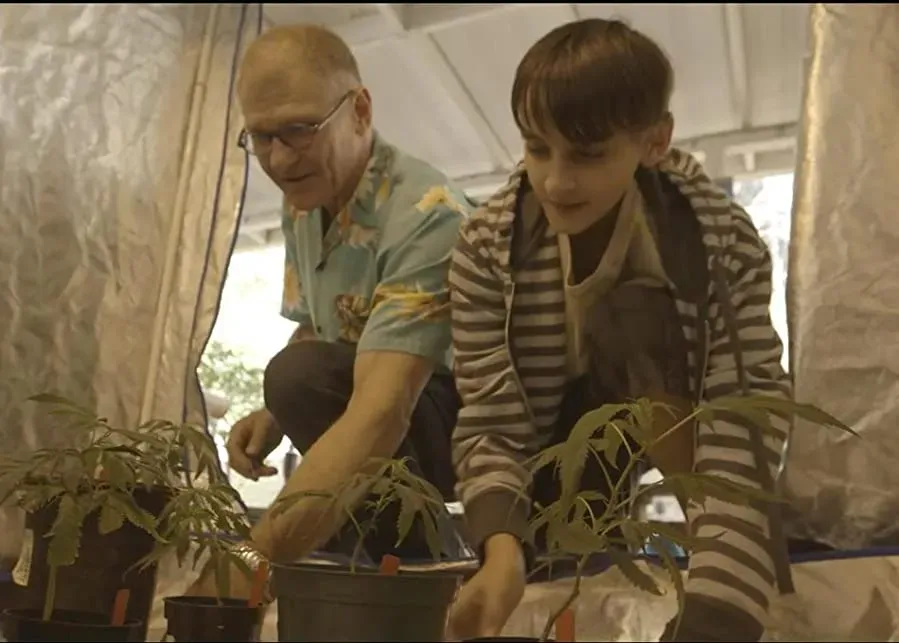 Weed the People online