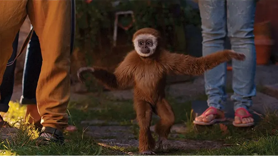 Monky online