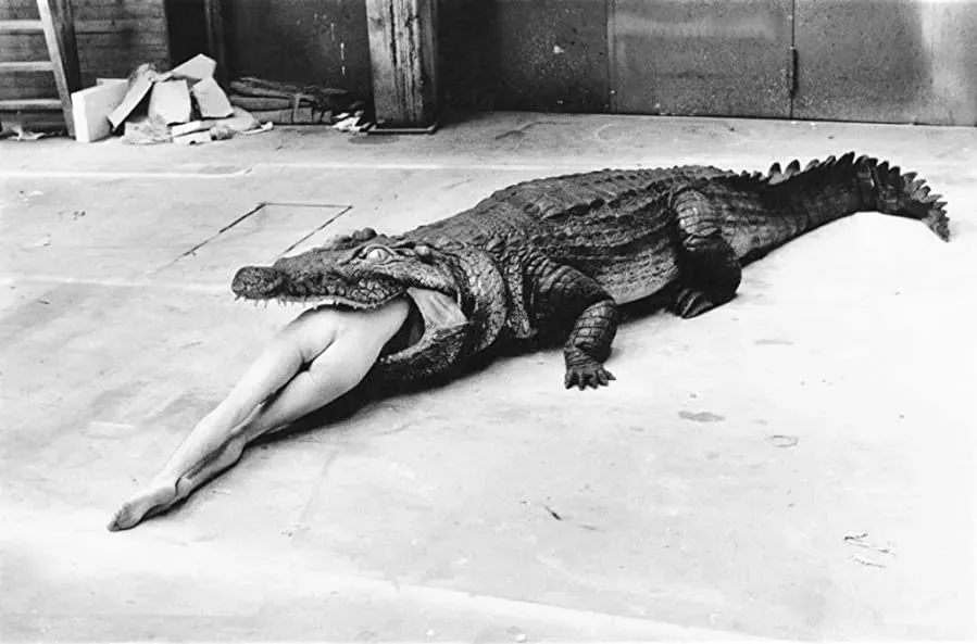 Helmut Newton. Piękno i bestia online