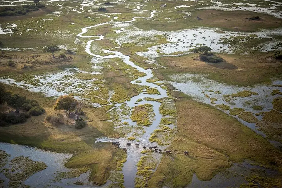 Into the Okavango online