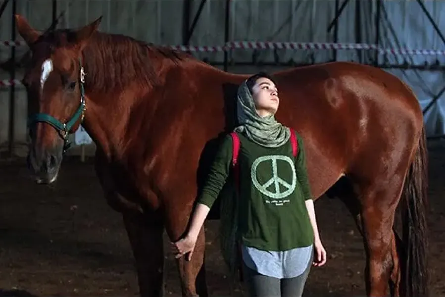 Dressage online