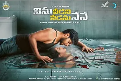 Ninu Veedani Needanu Nene