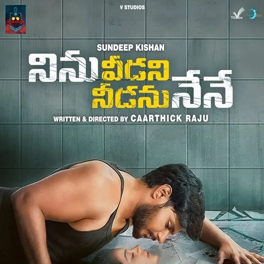 Ninu Veedani Needanu Nene online